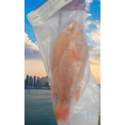 Tilapia rot 300-500g